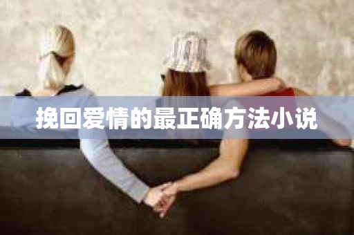 挽回爱情的最正确方法小说