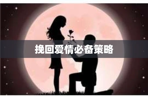 挽回爱情必备策略