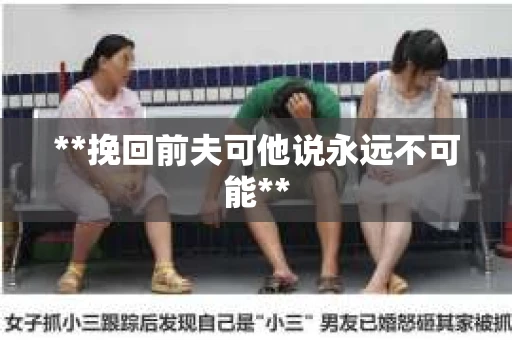 **挽回前夫可他说永远不可能**