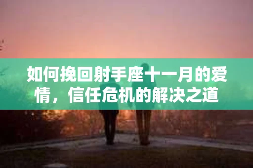 如何挽回射手座十一月的爱情，信任危机的解决之道