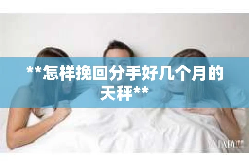 **怎样挽回分手好几个月的天秤**