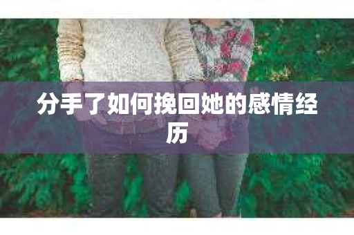 分手了如何挽回她的感情经历