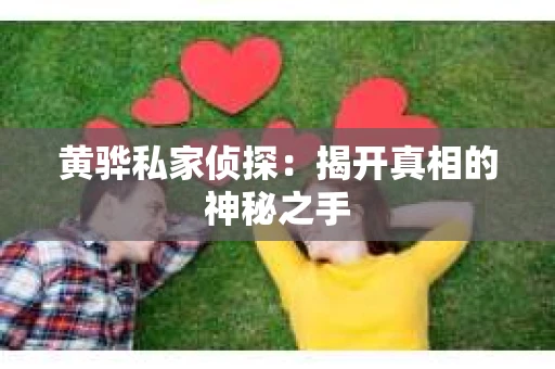 黄骅私家侦探：揭开真相的神秘之手