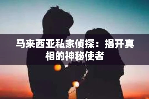 马来西亚私家侦探：揭开真相的神秘使者