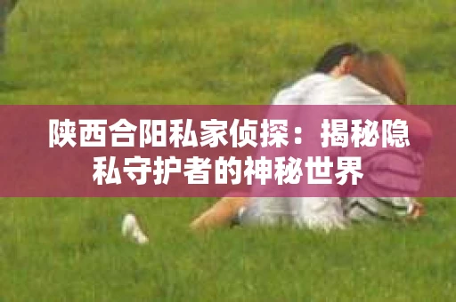 陕西合阳私家侦探：揭秘隐私守护者的神秘世界