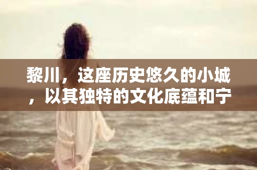 黎川，这座历史悠久的小城，以其独特的文化底蕴和宁静的生活节奏吸引着无数游客。然而，在这样一个看似平静的城市里，你是否会好奇，有没有私家侦探机构的存在呢？今天，就让我带你一探究竟。