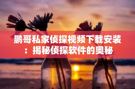 鹏哥私家侦探视频下载安装：揭秘侦探软件的奥秘