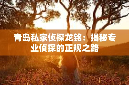青岛私家侦探龙铭：揭秘专业侦探的正规之路