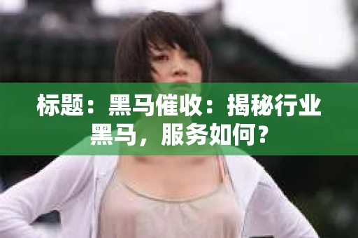 标题：黑马催收：揭秘行业黑马，服务如何？