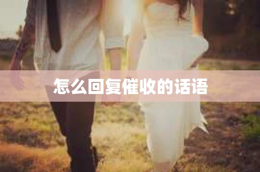 怎么回复催收的话语