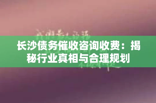 长沙债务催收咨询收费:揭秘行业真相与合理规划 长沙债务催收咨询收费:揭秘行业真相与合理规划