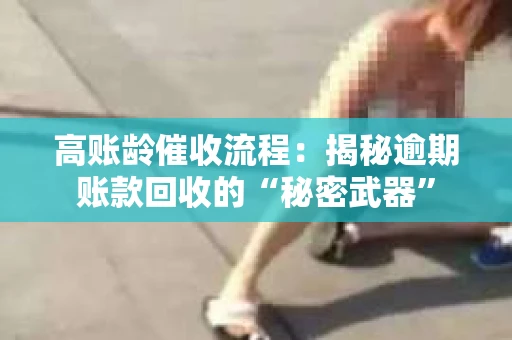 高账龄催收流程：揭秘逾期账款回收的“秘密武器”