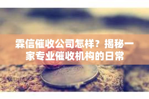 霖信催收公司怎样？揭秘一家专业催收机构的日常