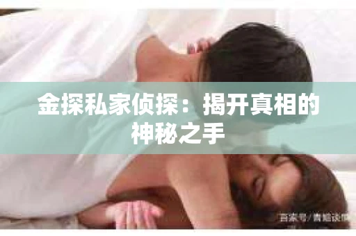 金探私家侦探：揭开真相的神秘之手