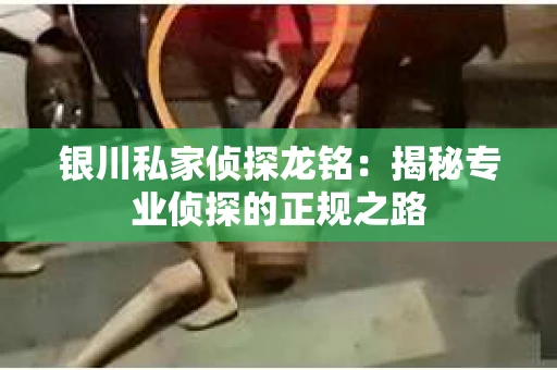 银川私家侦探龙铭：揭秘专业侦探的正规之路