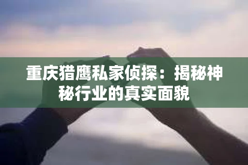 重庆猎鹰私家侦探：揭秘神秘行业的真实面貌