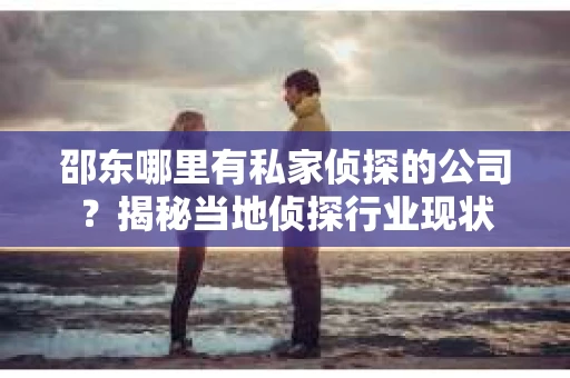 邵东哪里有私家侦探的公司？揭秘当地侦探行业现状
