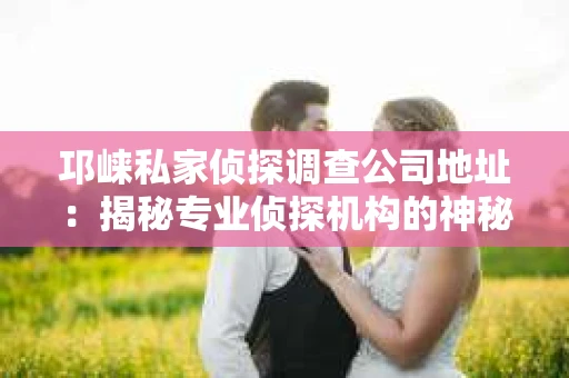 邛崃私家侦探调查公司地址：揭秘专业侦探机构的神秘面纱