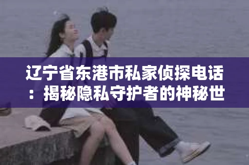 辽宁省东港市私家侦探电话：揭秘隐私守护者的神秘世界