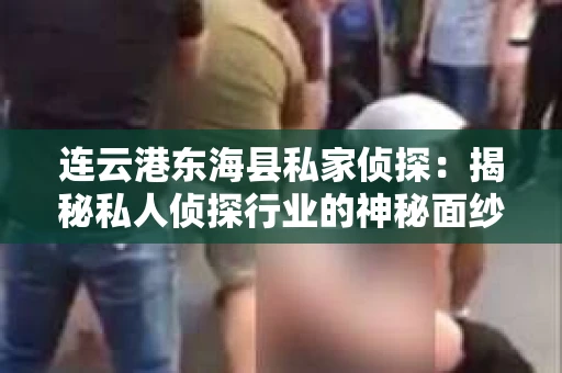 连云港东海县私家侦探：揭秘私人侦探行业的神秘面纱