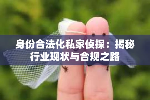 身份合法化私家侦探：揭秘行业现状与合规之路