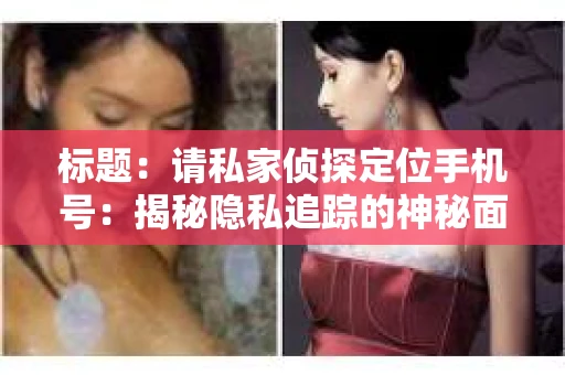标题：请私家侦探定位手机号：揭秘隐私追踪的神秘面纱