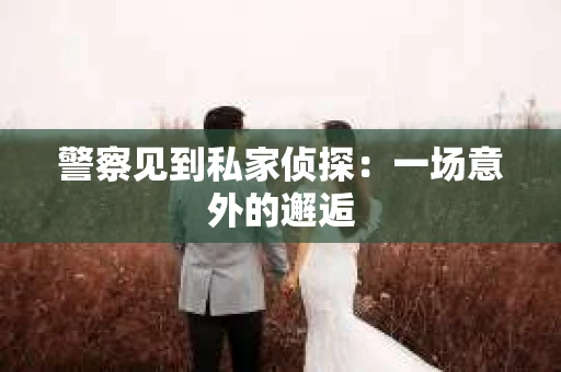警察见到私家侦探：一场意外的邂逅