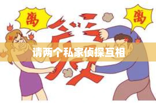 请两个私家侦探互相