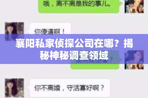 襄阳私家侦探公司在哪？揭秘神秘调查领域