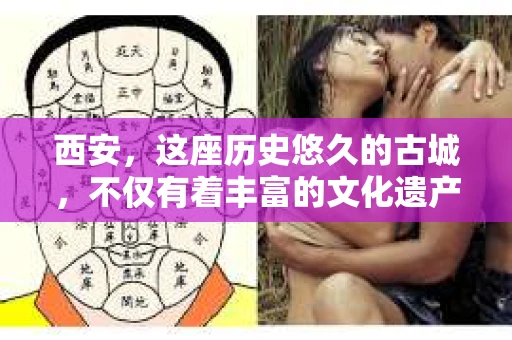 西安，这座历史悠久的古城，不仅有着丰富的文化遗产，也有着现代社会的各种需求。今天，我们就来聊聊一个比较特别的话题——西安有没有私家侦探。
