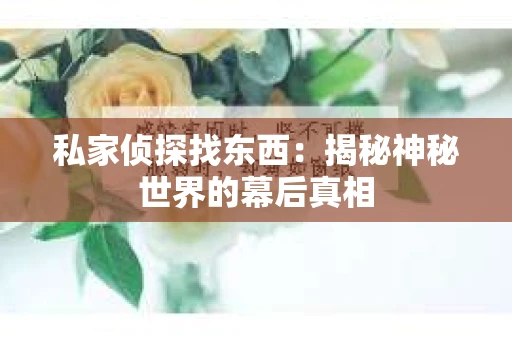 私家侦探找东西：揭秘神秘世界的幕后真相