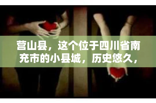营山县，这个位于四川省南充市的小县城，历史悠久，风景秀丽。但在这个宁静的小县城里，你是否会好奇，有没有私家侦探的存在呢？今天，我就来和大家聊聊这个话题。