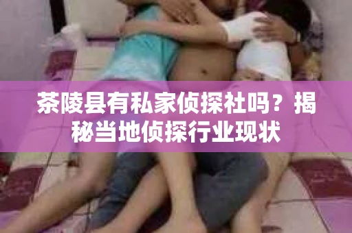 茶陵县有私家侦探社吗？揭秘当地侦探行业现状