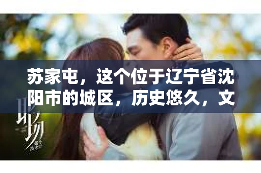 苏家屯，这个位于辽宁省沈阳市的城区，历史悠久，文化底蕴深厚。近年来，随着社会的发展，人们对于私家侦探的需求也逐渐增加。那么，苏家屯有私家侦探吗？今天，我们就来聊聊这个话题。