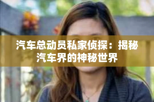 汽车总动员私家侦探：揭秘汽车界的神秘世界