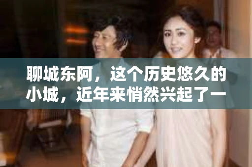 聊城东阿，这个历史悠久的小城，近年来悄然兴起了一股新的服务潮流——私家侦探。今天，我们就来聊聊这个话题，看看在聊城东阿，私家侦探是如何成为人们生活中的一部分的。