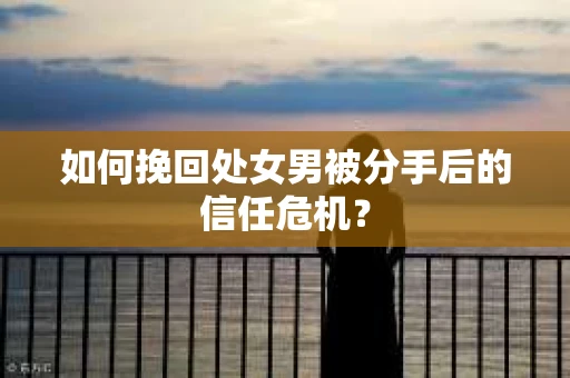 如何挽回处女男被分手后的信任危机? 如何挽回处女男被分手后的信任危机?