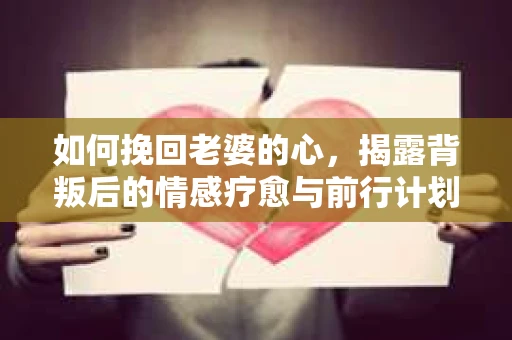 如何挽回老婆的心，揭露背叛后的情感疗愈与前行计划