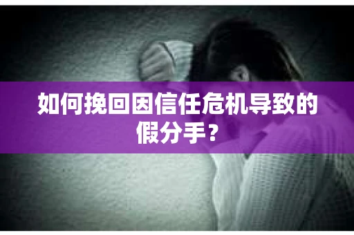如何挽回因信任危机导致的假分手？