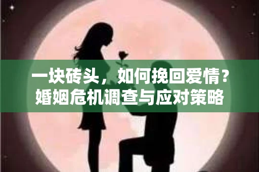 一块砖头，如何挽回爱情？婚姻危机调查与应对策略