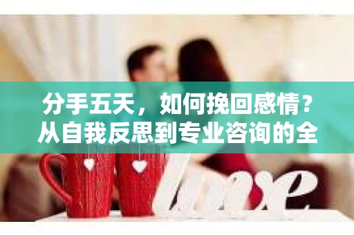 分手五天,如何挽回感情?从自我反思到专业咨询的全面解决方案 分手五天,如何挽回感情?从自我反思到专业咨询的全面解决方案