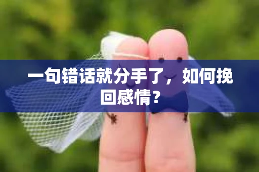 一句错话就分手了，如何挽回感情？