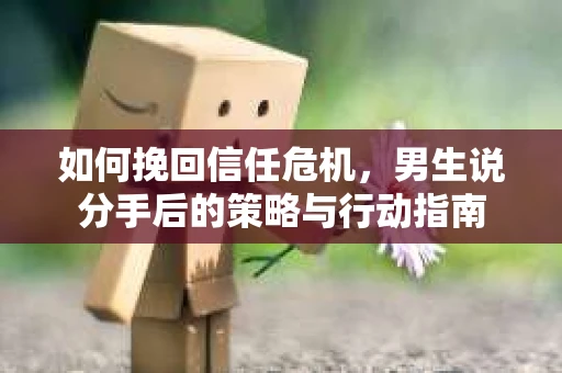 如何挽回信任危机，男生说分手后的策略与行动指南