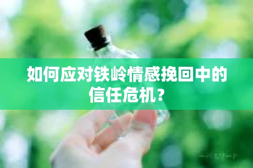 如何应对铁岭情感挽回中的信任危机？