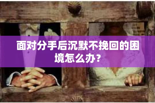 面对分手后沉默不挽回的困境怎么办？