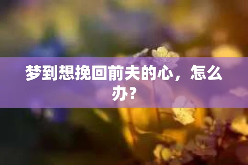 梦到想挽回前夫的心，怎么办？